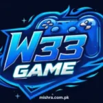 W333 Game
