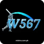 W567 Game